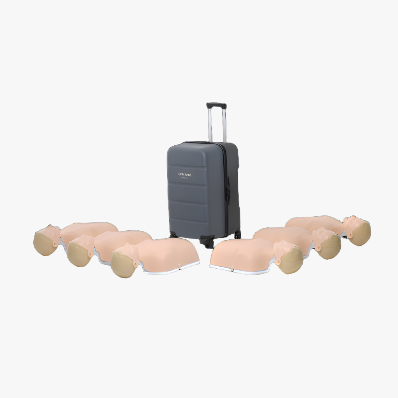 Little Anne Gen2 — 6 candles