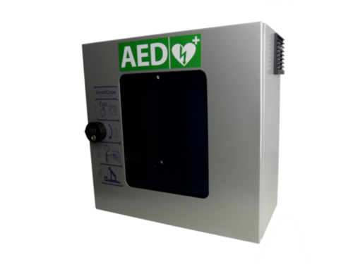 SmartCase Utomhusskåp PIN-kodslås (Grå)