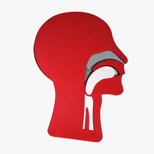 Luftvägsmodell Laerdal