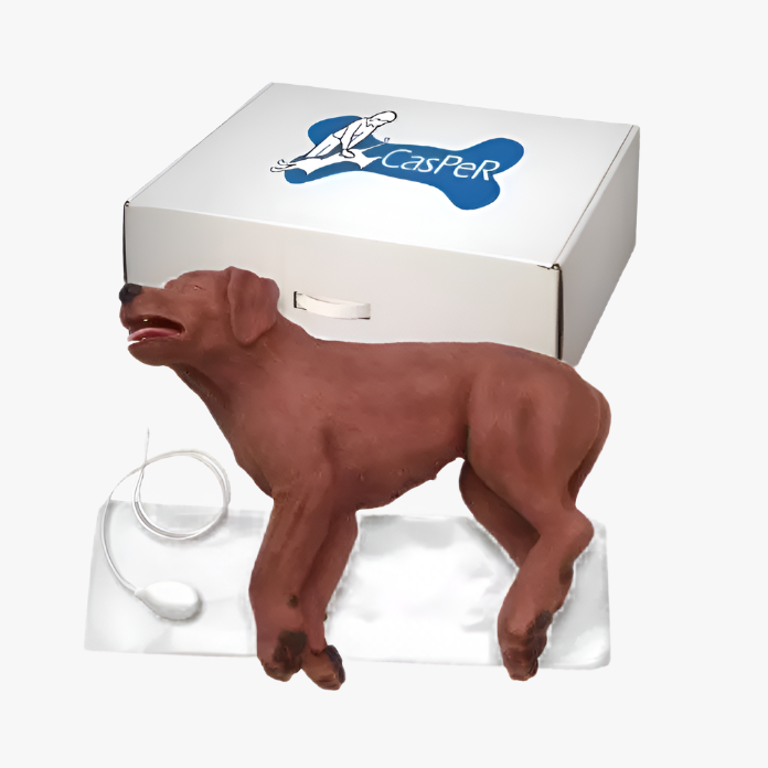 CasPeR the CPR dog