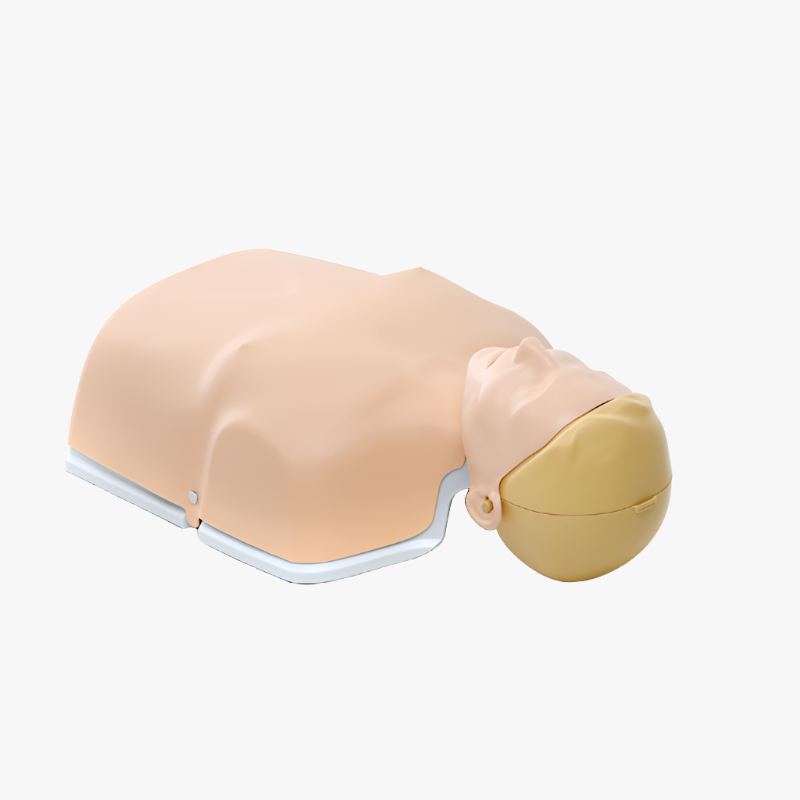 Little Anne Gen2 — light