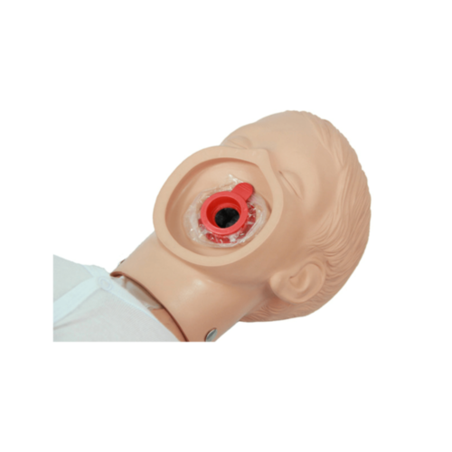 Ambu Junior luftvägar