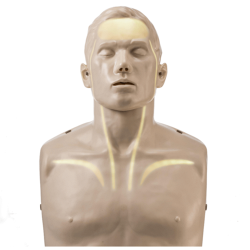 Brayden HLR-docka med vit LED-belysning