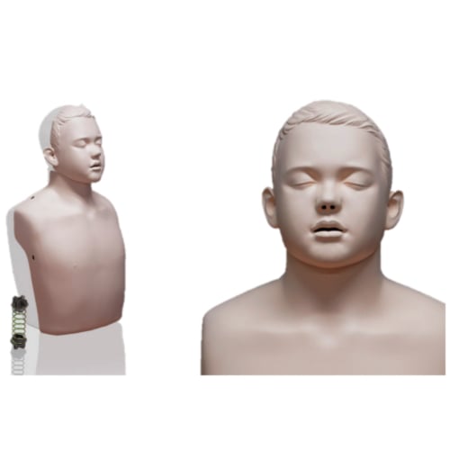 Brayden Junior Upgrade Kit