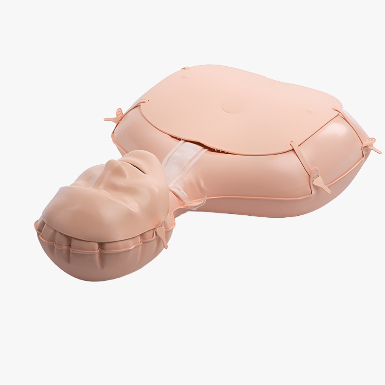 Mini Anne — 20 st